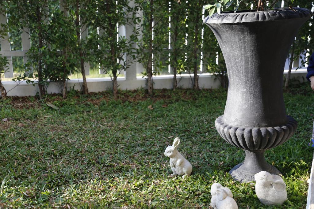 Mona Chiangmai Boutique Ξενοδοχείο Τσιάνγκ Μάι Εξωτερικό φωτογραφία